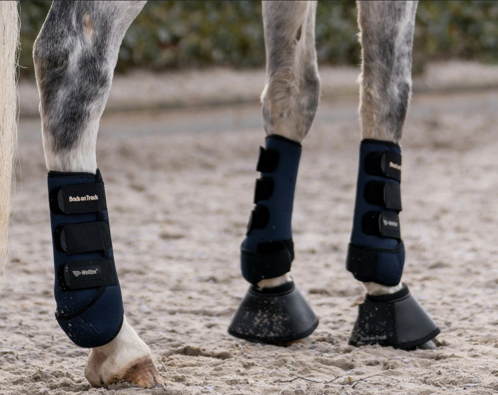 Back On Track Exercise Boots Pair Hind 