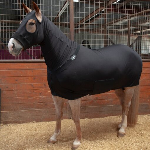 Classic Equine Slinky - Image 2