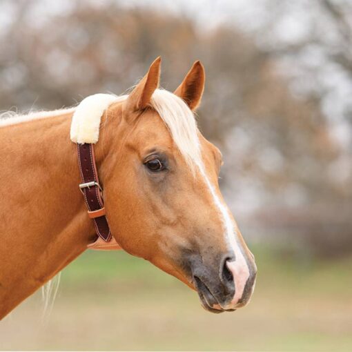Professional's Choice The Dare Cribbing Control Collar - Image 2